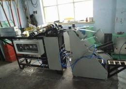 Ice-Cream-Sticks-Box-Filling-Machine